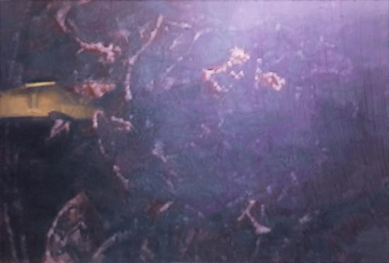 13 л����Xie Nanxing ���� NO.3 2014 �����ͻ� 220��325cm