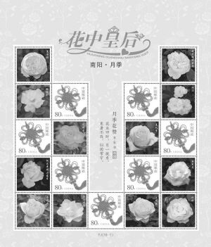 南阳“花中皇后 南阳月季”邮票图稿绘画比赛启动