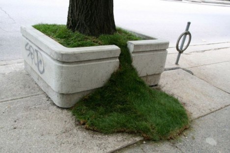 Tree Planter Art for Toronto by Sean Martindale。