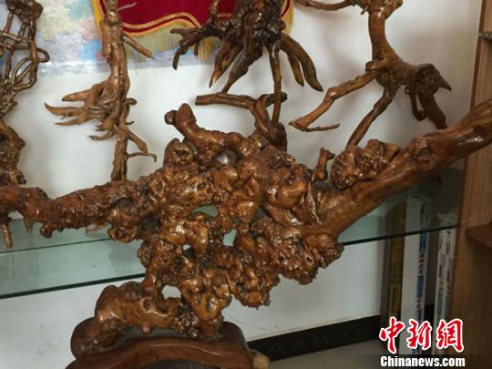 甘肅平?jīng)龅母袼嚾似延袕亩畮讱q拿起刻刀，再?zèng)]舍得放下，直至現(xiàn)在，每天雕刻三四個(gè)小時(shí)，已經(jīng)成為他三十余載養(yǎng)成的一種習(xí)慣。圖為蒲有的根雕作品《十二生肖》。　楊娜　攝