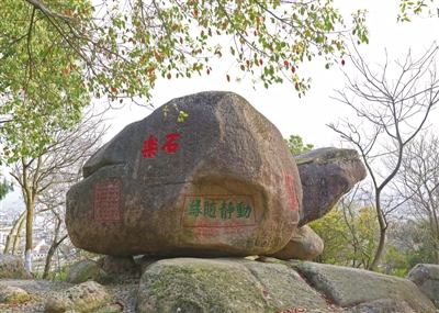钱仓人口_人口普查