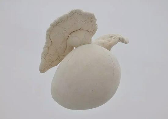 许静宇，EO，2009，织物，50×55×60cm