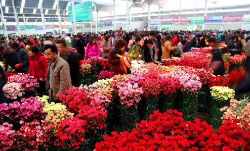 话说这花市跟菜市场没啥区别