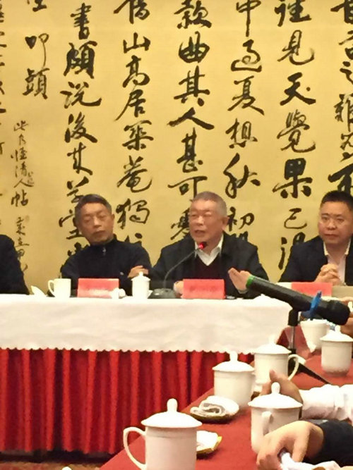 戴志强先生发言