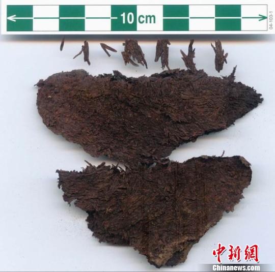 图为出土的茶叶。 汉阳陵博物馆 摄