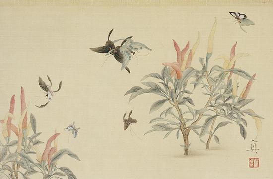 《孤恋花系》,顾真真,32x21cm