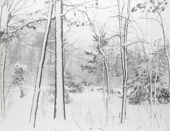 银装玉树，美国博克斯福德  银盐纸基 37.3×47.2cm 1963  中国美术馆藏