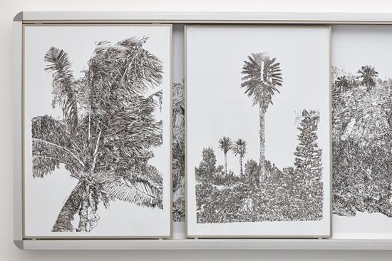 ��������Ʒ