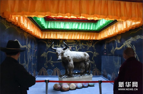 观众在西藏牦牛博物馆参观