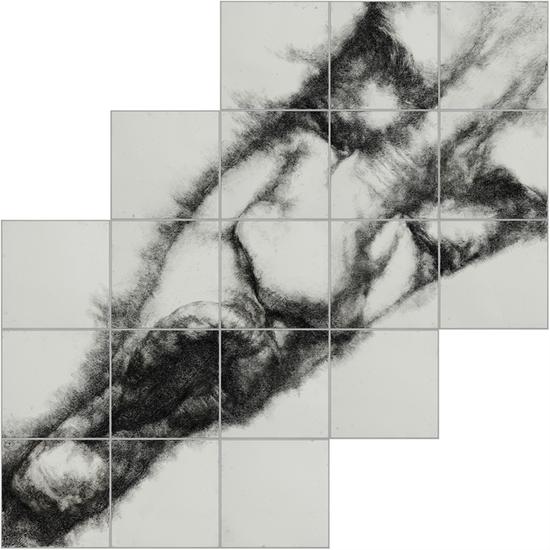 2014 表情-2 405×243cm( 56×56cm×19) 纸本、木炭条-旋转