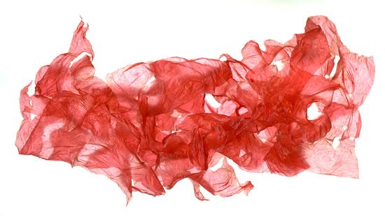 黄旭 云之八,2015,110x190cm,摄影