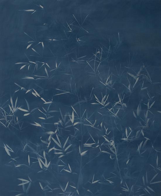 张大力-竹子,Bamboo(2).亚麻布蓝晒Cyanotype on canvas （240X168cm）2015.9.25.