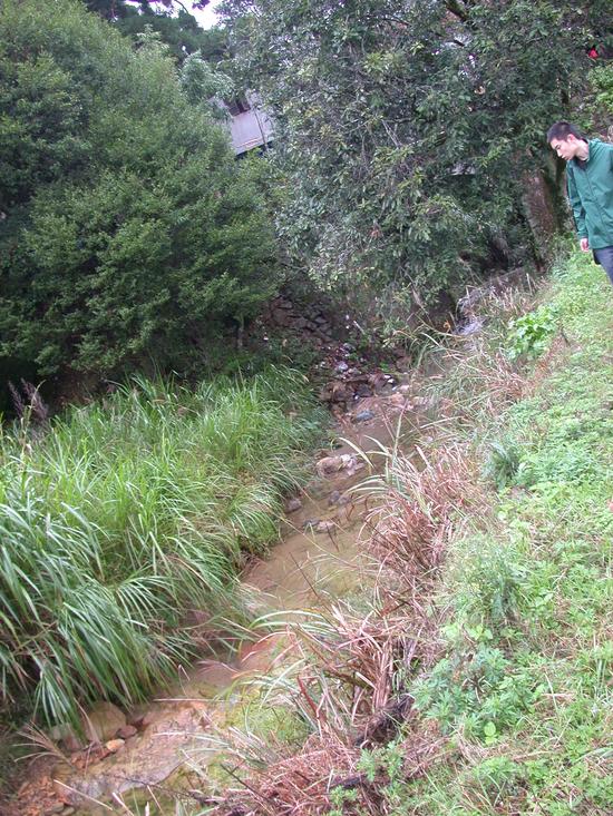 寿山田黄产地