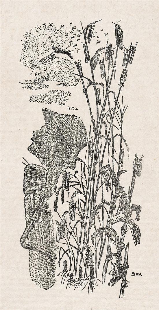 沙清泉《天灾？人祸！》24×10.5cm 1944年黑白木刻