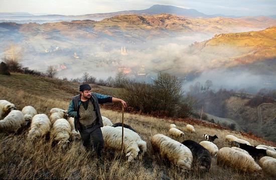 图为摄影师米切尔（Mitchell Kanashkevich）拍摄的一位孤寂的牧羊人。