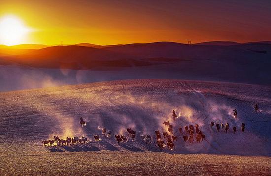 图为中国内蒙古高原上的马群。这幅作品也被称为“破晓时分”。