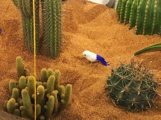 栖息地：王波个展现场照片 (2)