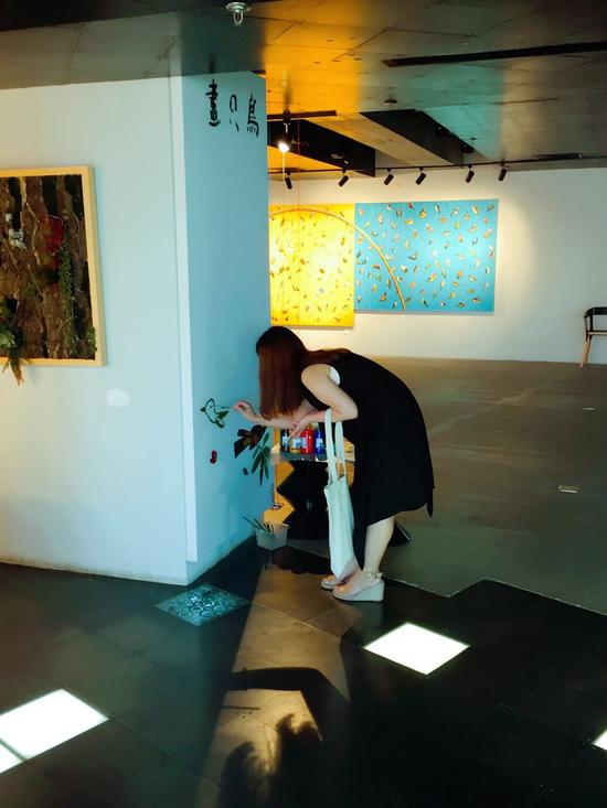 栖息地:王波个展现场照片 (7)