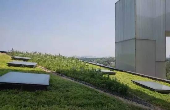 郑波《稊地》(2016),野草、土、昆虫、微生物,图片来源:南京四方当代美术馆