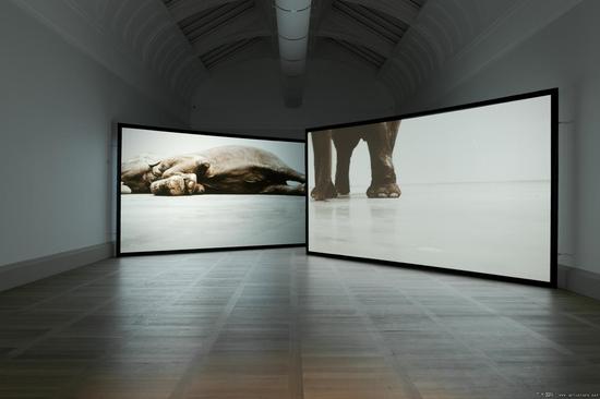 尤莉娅斯托舍克:收藏一种时间性档案 _海外动