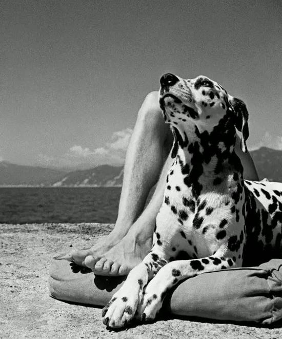 ▲ Herbert List《Portofino》，1936年， 玛格南摄影通讯社