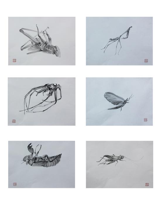 �ִ��塶Ƥ�ҡ�ϵ�С� 21cmx29.7cm