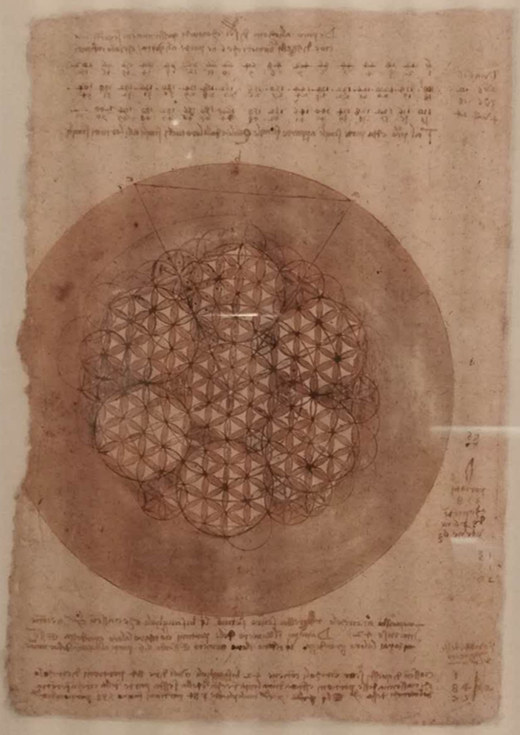 ����ͼ�� ����� 1517-1518