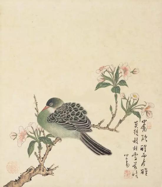 溥儒 《梨花班鸠》 绢本镜心
尺寸：30×26cm