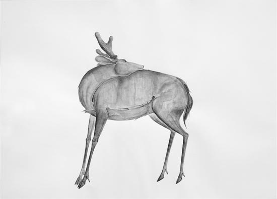 唐晖丨奈良鹿系列 2014-2丨纸上水溶铅笔丨109x79cm