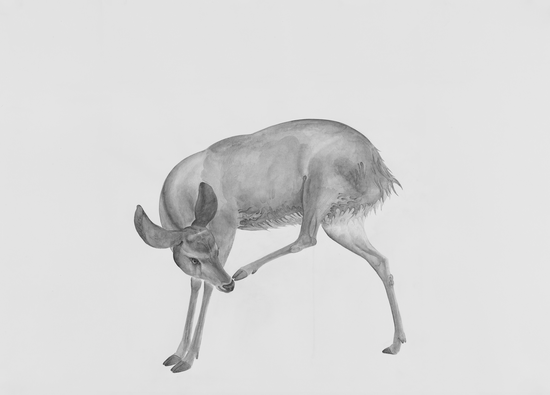 唐晖丨奈良鹿系列 2016-3丨纸上水彩丨103×153cm