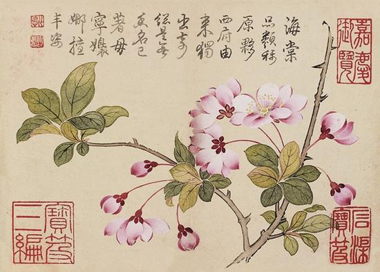 钱维城(1720-1772)  花卉图（局部）