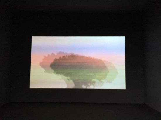 ArtReview Asia Xin Chng