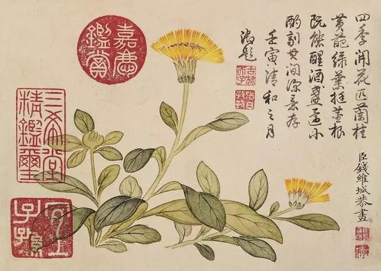 钱维城（1720-1772） 花卉图 乾隆御题 设色纸本 册页八开