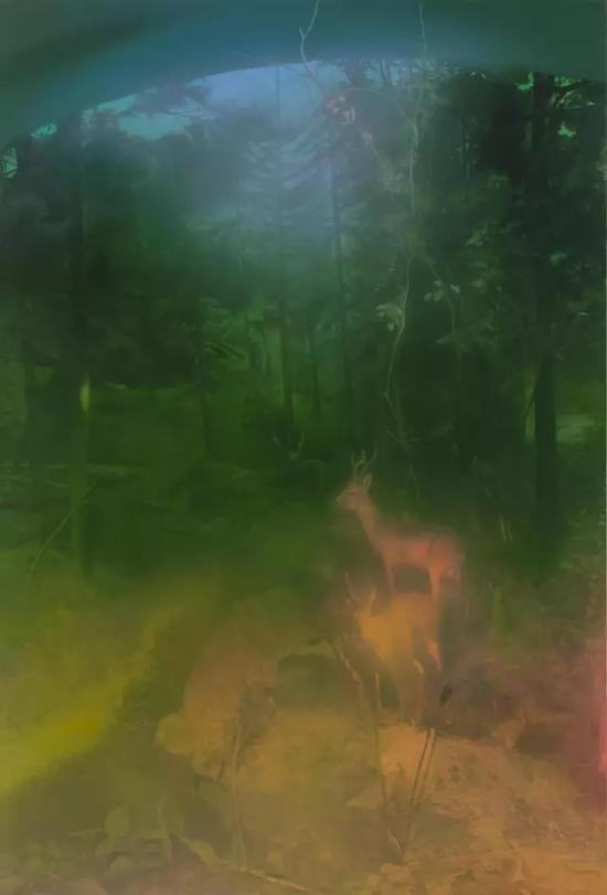 Deer in the forest，300×200cm，2016