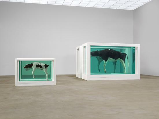 达明·赫斯特，《母与子》，1993。图片:Courtesy Damien Hirst