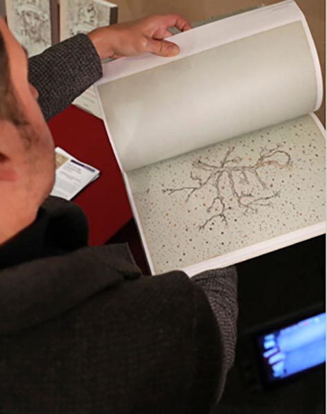 2016 年 11 月 15 日，一名男子在巴黎建筑学院翻阅荷兰后印象派画家梵高绘制的画册。