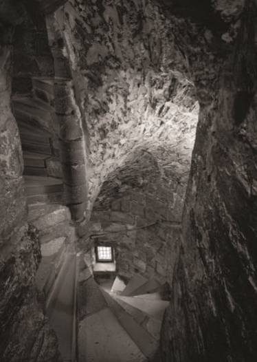 迪尔曼·克瑞恩2014年铂金印相作品《楼梯》 36×50cm