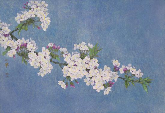 万小宁 Wan Xiaoning《早樱 Sakura》纸本着色、岩彩 Mineral color on paper 65x96cm 2015