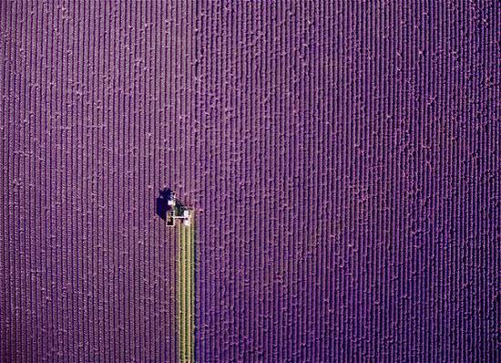 法国普罗旺斯
图片来源:Jcourtial/Dronestagram