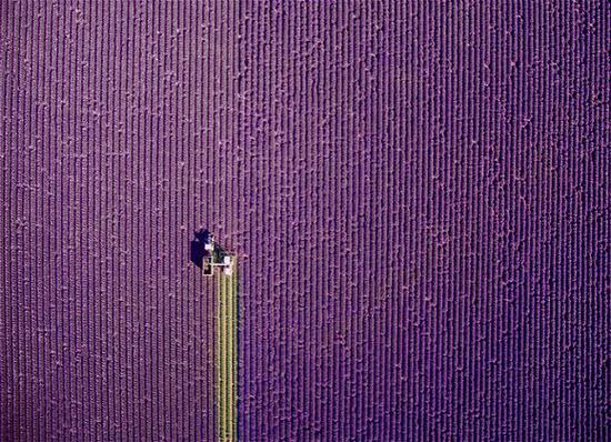 法国普罗旺斯

　　图片来源：Jcourtial/Dronestagram