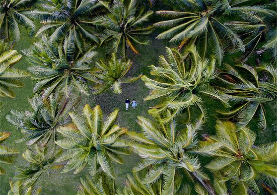 法属玻里尼西亚的呼尔希尼岛

　　图片来源：Helene Havard/Dronestagram