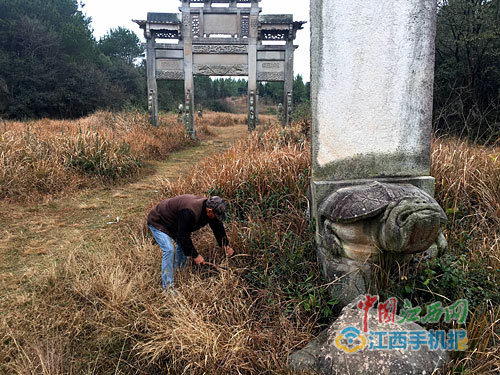 老人儿子接过守墓重任。