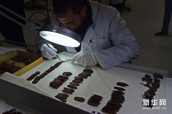 埃及开罗，一名专家在大埃及博物馆内修复法老图坦卡蒙的护甲