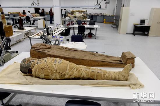 1月3日在埃及开罗大埃及博物馆内拍摄的木乃伊