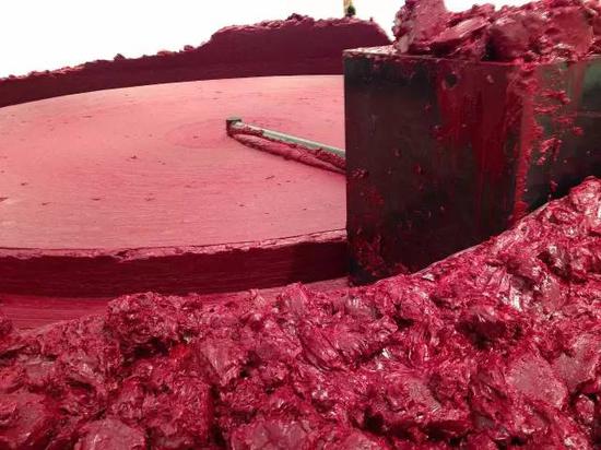 安尼施·卡普尔 Anish Kapoor - My Red Homeland (局部)