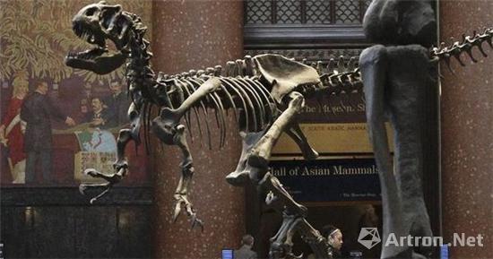 美国自然历史博物馆里著名的恐龙骨架