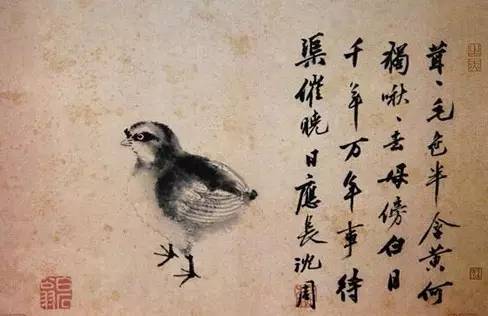 雏鸡（国画） 22×29.2厘米 明代沈周 故宫博物院藏