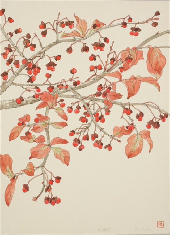 八树(花椒树)  作者：常沙娜 创作年代：1975 规格：30×21.5cm