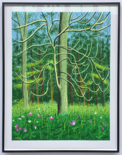 　　David HOCKNEY  The arrival of spring in Woldgate，East Yorkshire in 2011 – 4 May 2011，2011  Ipad绘画纸上印刷  139.7 x105.4 cm