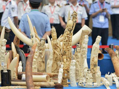中国公开销毁的一批非法象牙及象牙制品